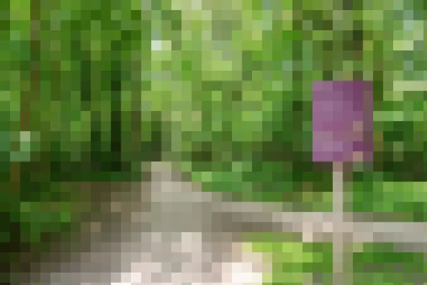 Meteorenstraat 78 Hilversum thumbnail 43