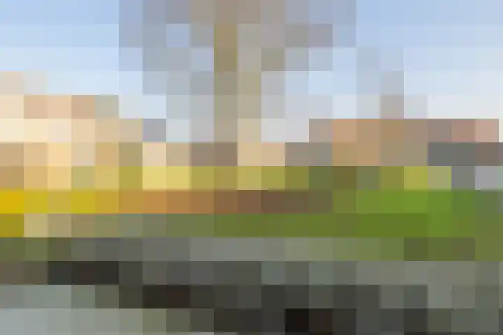 Meteorenweg 1018 Purmerend thumbnail 49