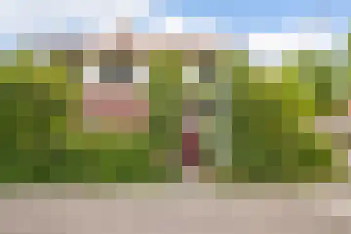 Meteorenweg 184 Amsterdam thumbnail 10