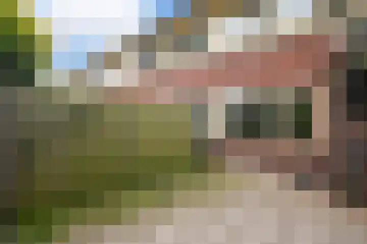 Meteorenweg 184 Amsterdam thumbnail 13