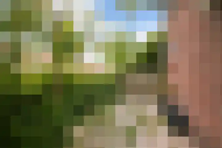 Meteorenweg 184 Amsterdam thumbnail 17