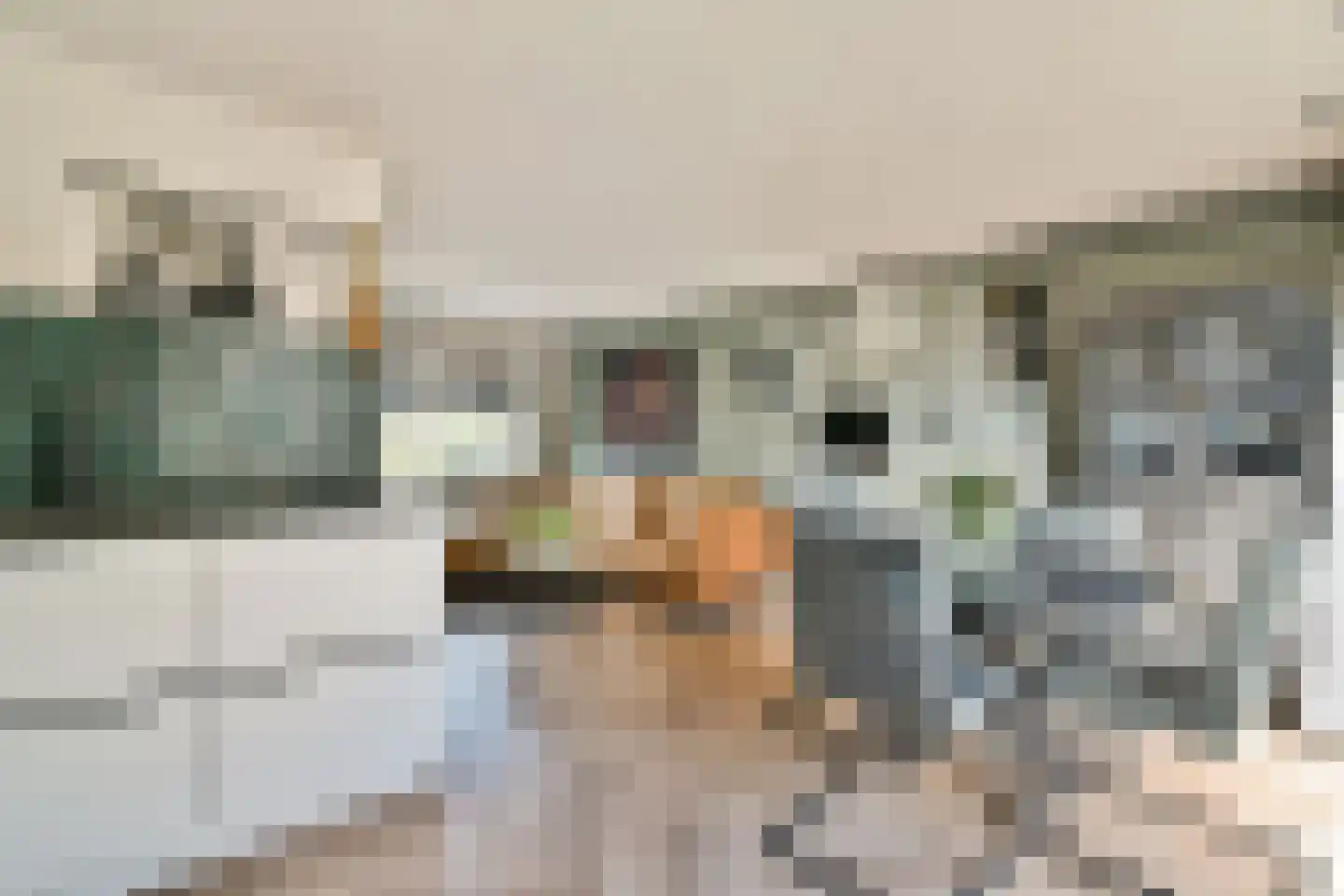 Meteorenweg 198 Amsterdam thumbnail 12