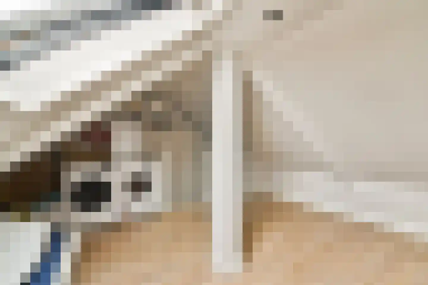Meteorenweg 198 Amsterdam thumbnail 30