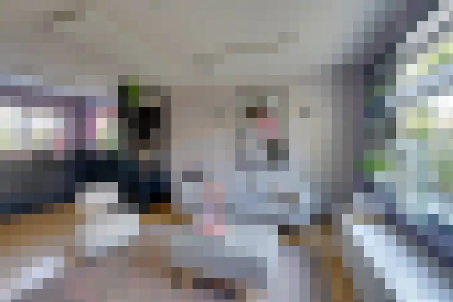 Meteorenweg 200 Amsterdam thumbnail 11