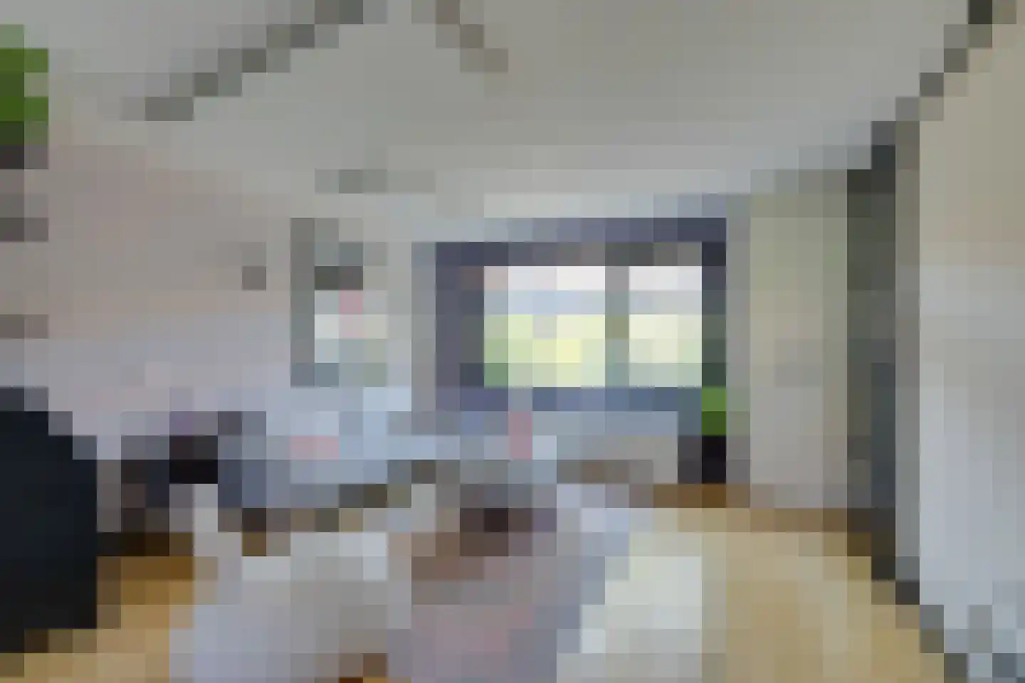 Meteorenweg 200 Amsterdam thumbnail 18