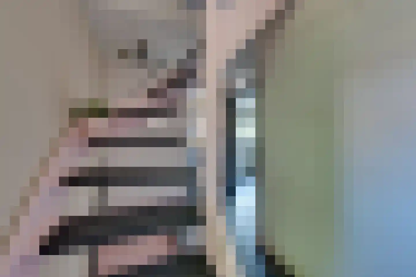 Meteorenweg 200 Amsterdam thumbnail 43