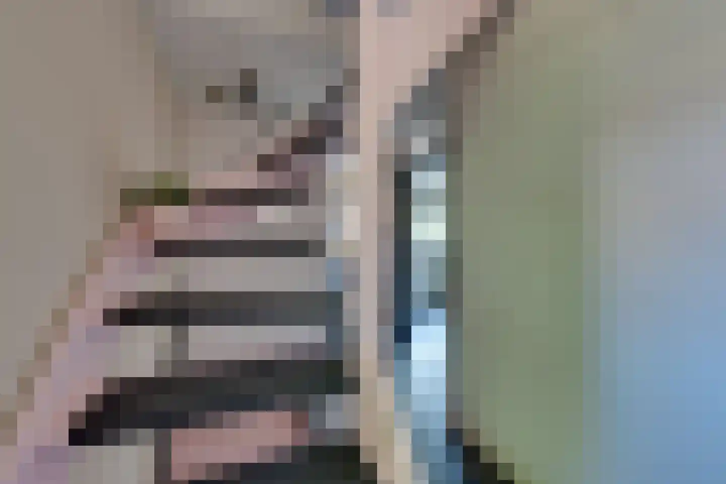 Meteorenweg 200 Amsterdam thumbnail 45