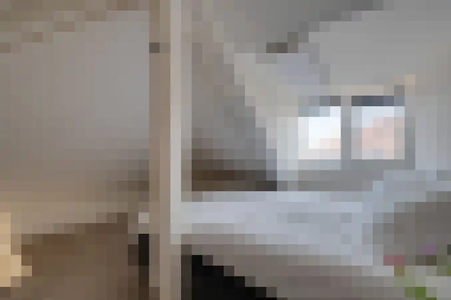 Meteorenweg 200 Amsterdam thumbnail 45