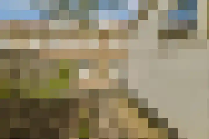 Meteorenweg 205 Amsterdam thumbnail 16