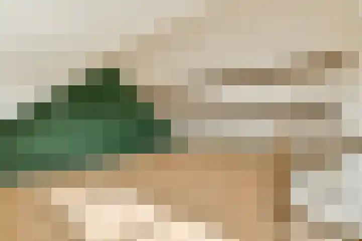 Meteorenweg 205 Amsterdam thumbnail 32