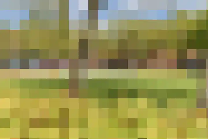Meteorenweg 205 Amsterdam thumbnail 34