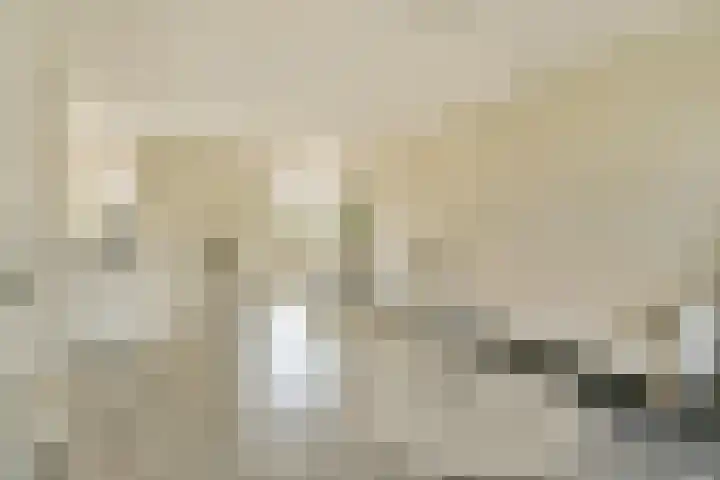 Meteorenweg 205 Amsterdam thumbnail 8