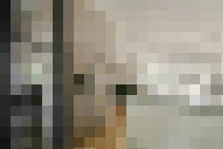 Meteorenweg 261 Amsterdam thumbnail 10