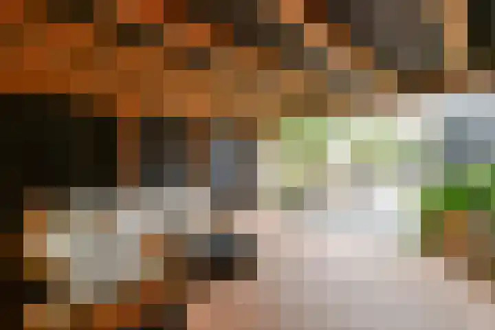 Meteorenweg 261 Amsterdam thumbnail 17