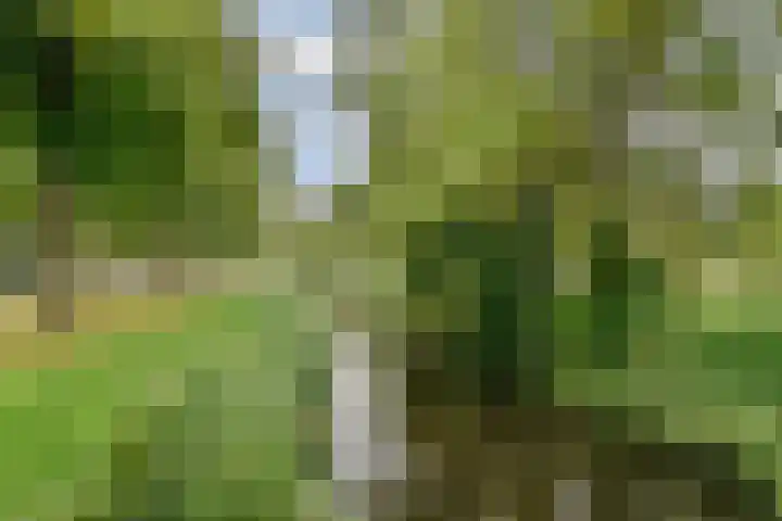 Meteorenweg 261 Amsterdam thumbnail 32