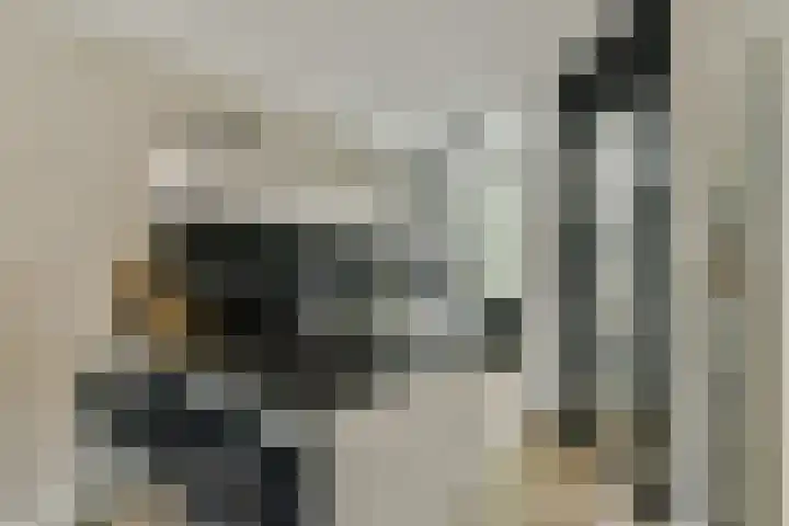 Meteorenweg 261 Amsterdam thumbnail 7