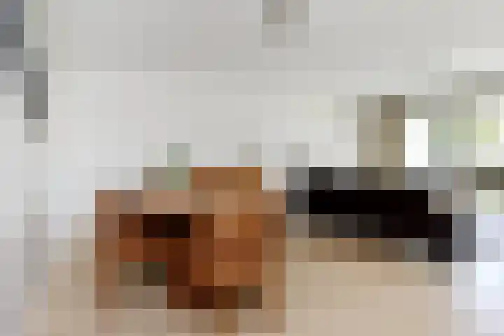 Meteorenweg 40 Waddinxveen thumbnail 13