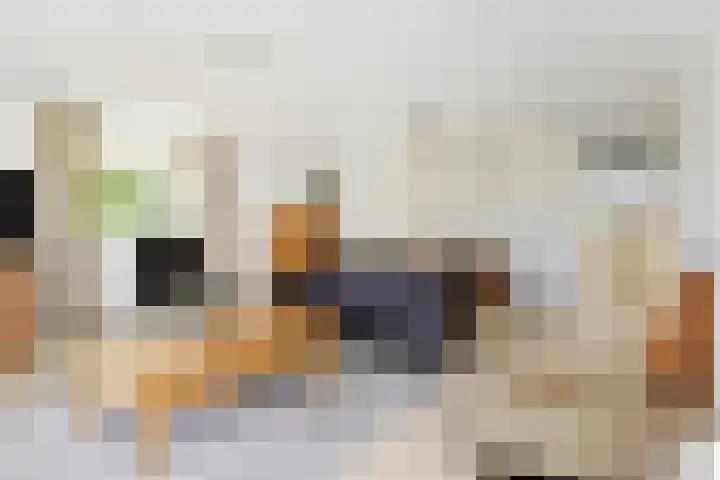 Meteorenweg 40 Waddinxveen thumbnail 15