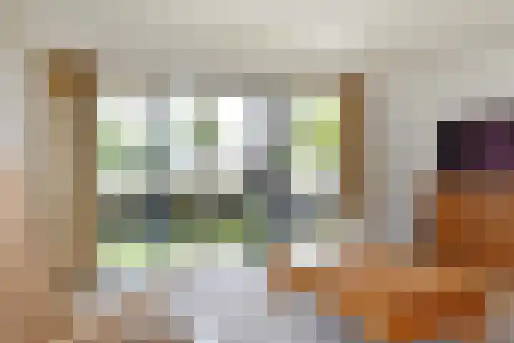 Meteorenweg 40 Waddinxveen thumbnail 17