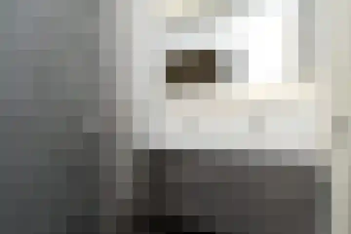 Meteorenweg 40 Waddinxveen thumbnail 22