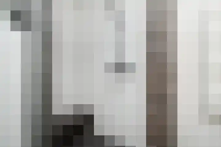 Meteorenweg 40 Waddinxveen thumbnail 23