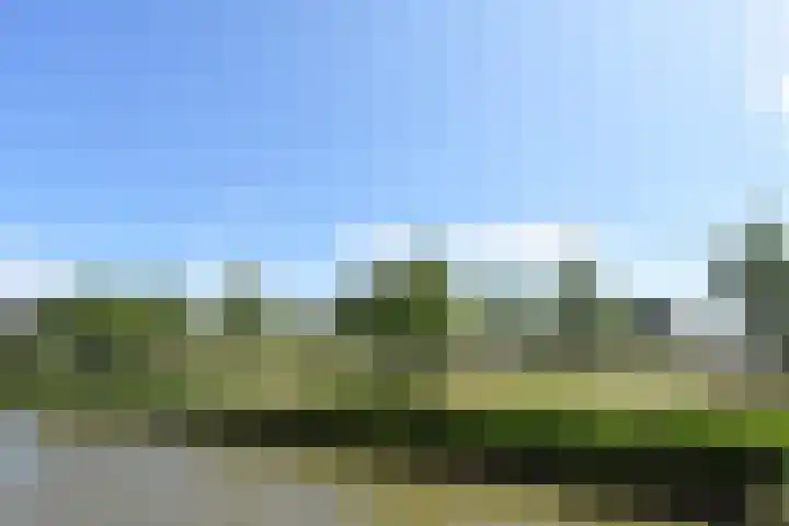 Meteorenweg 40 Waddinxveen thumbnail 26