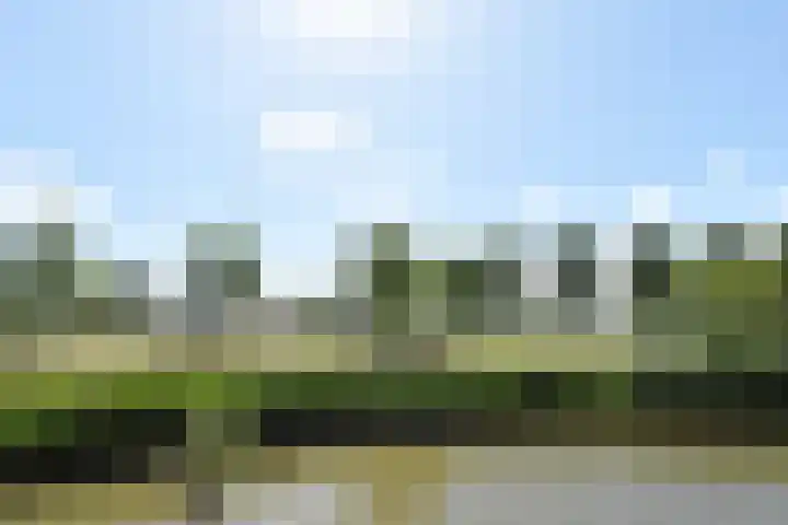 Meteorenweg 40 Waddinxveen thumbnail 27