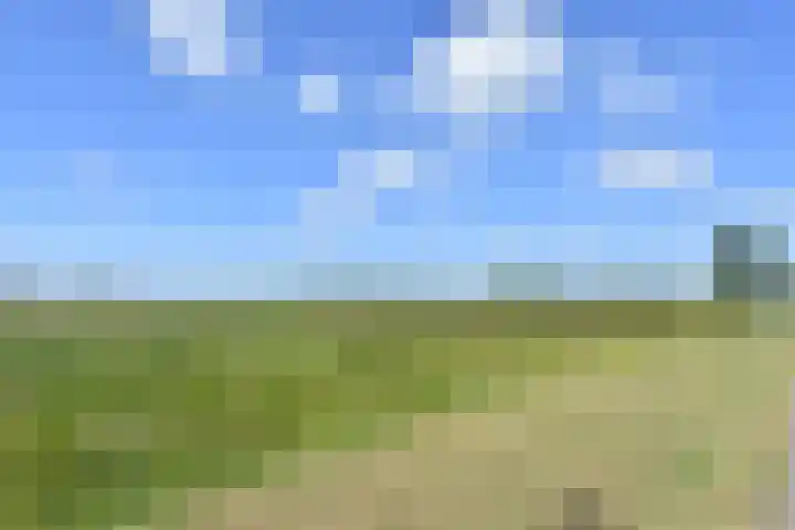 Meteorenweg 40 Waddinxveen thumbnail 28