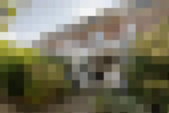 Meteorenweg 82 Amsterdam thumbnail 22