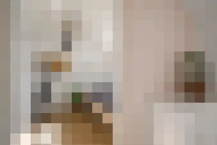 Meteorenweg 82 Amsterdam thumbnail 36