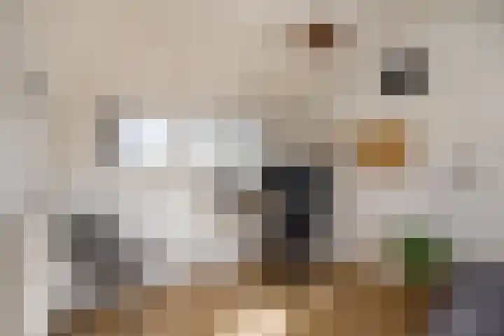 Meteorenweg 82 Amsterdam thumbnail 38