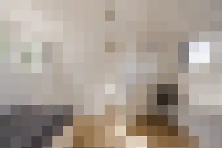 Meteorenweg 82 Amsterdam thumbnail 39