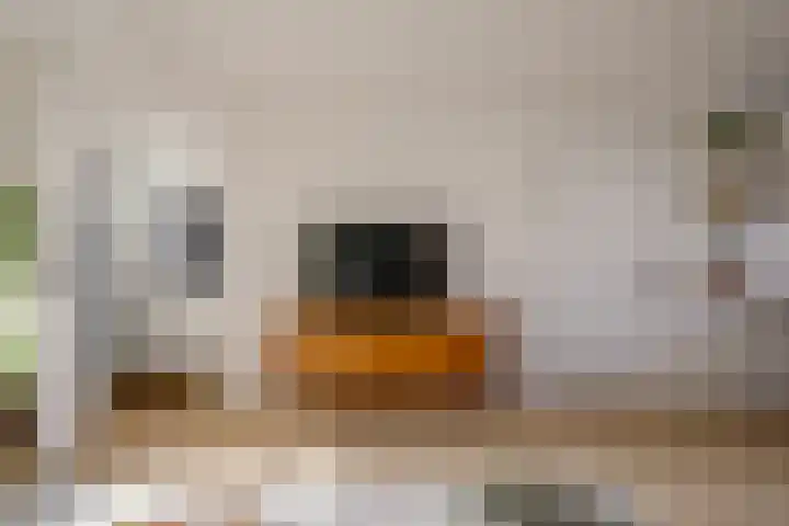 Meteorenweg 82 Amsterdam thumbnail 5