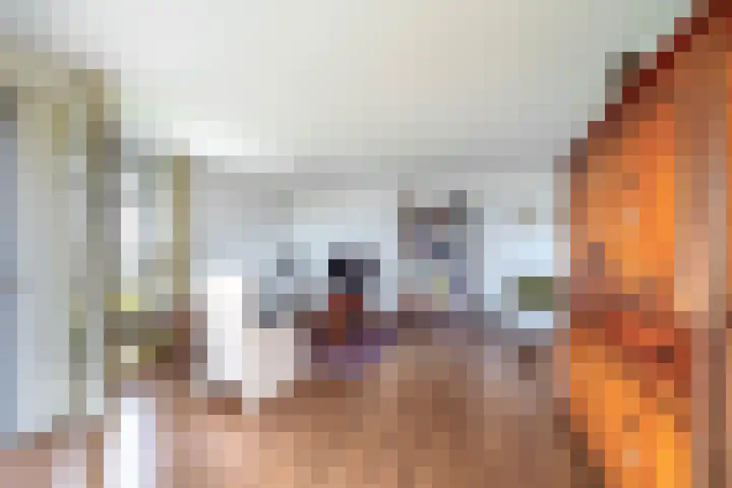 Meteorenweg 98 Waddinxveen thumbnail 12