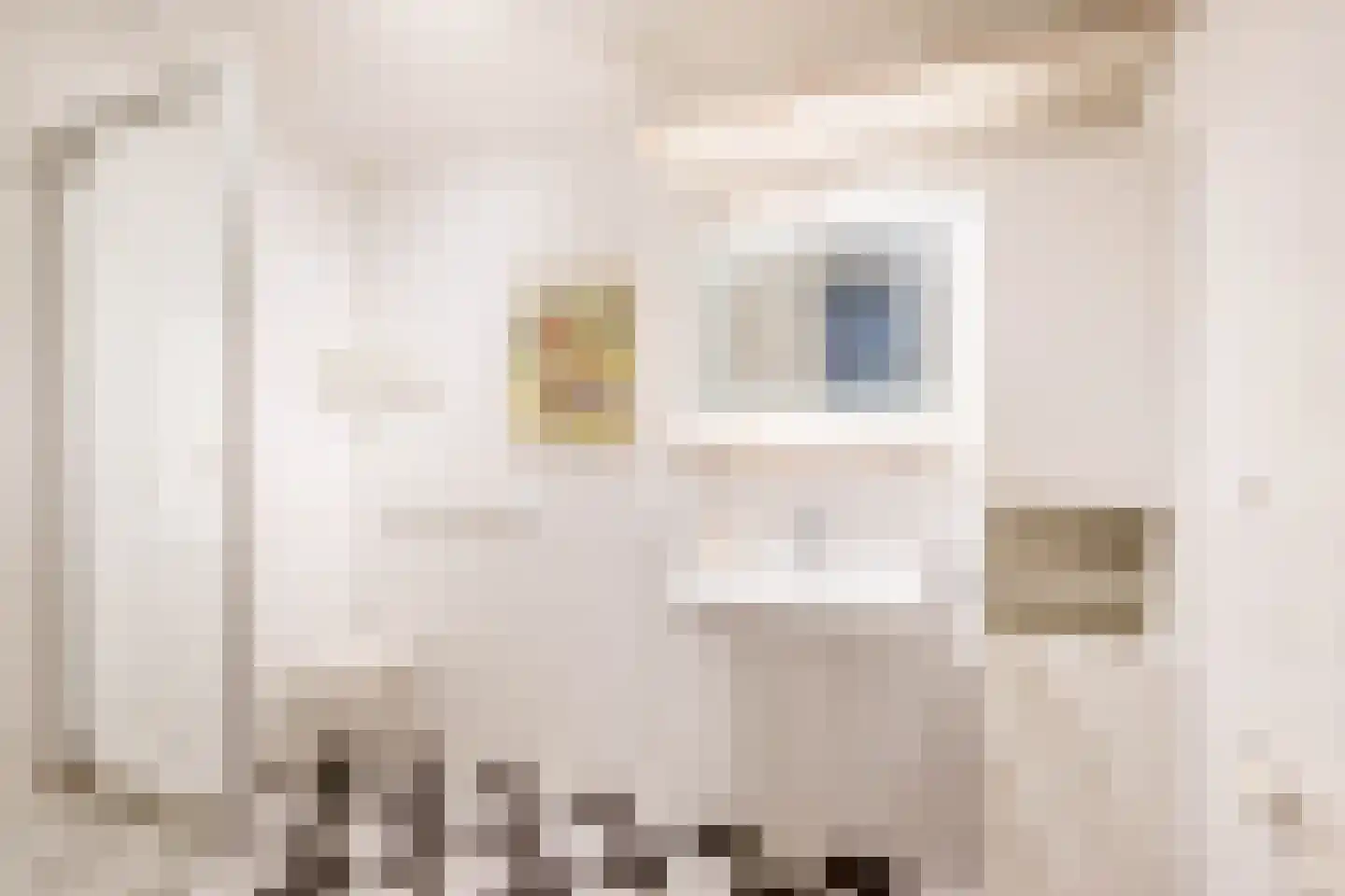 Meteorenweg 98 Waddinxveen thumbnail 22