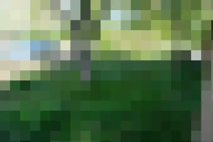 Meterenstraat 1 Tiel thumbnail 12