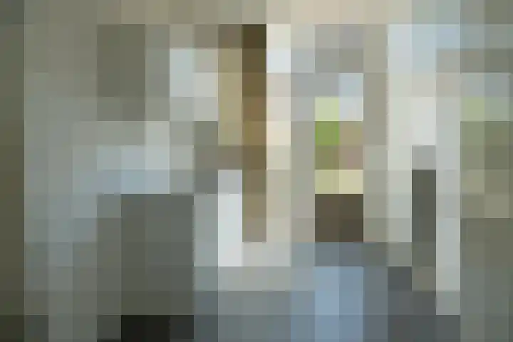 Meterenstraat 1 Tiel thumbnail 4