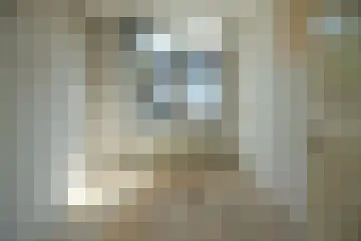Meterenstraat 1 Tiel thumbnail 5