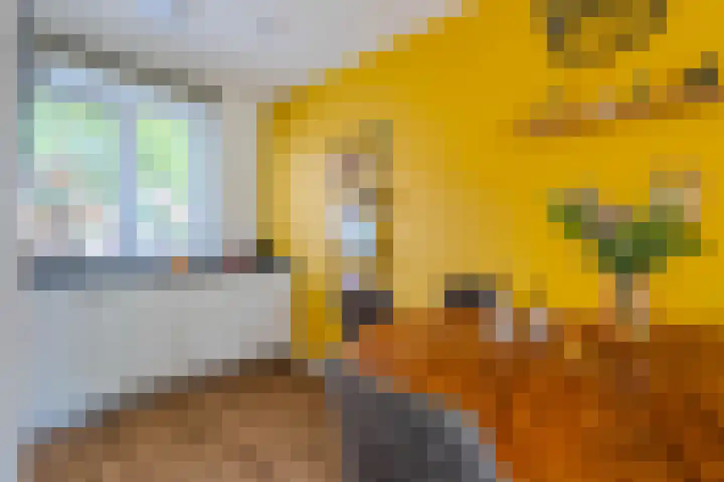 Meteriks veld 62 Meterik thumbnail 11