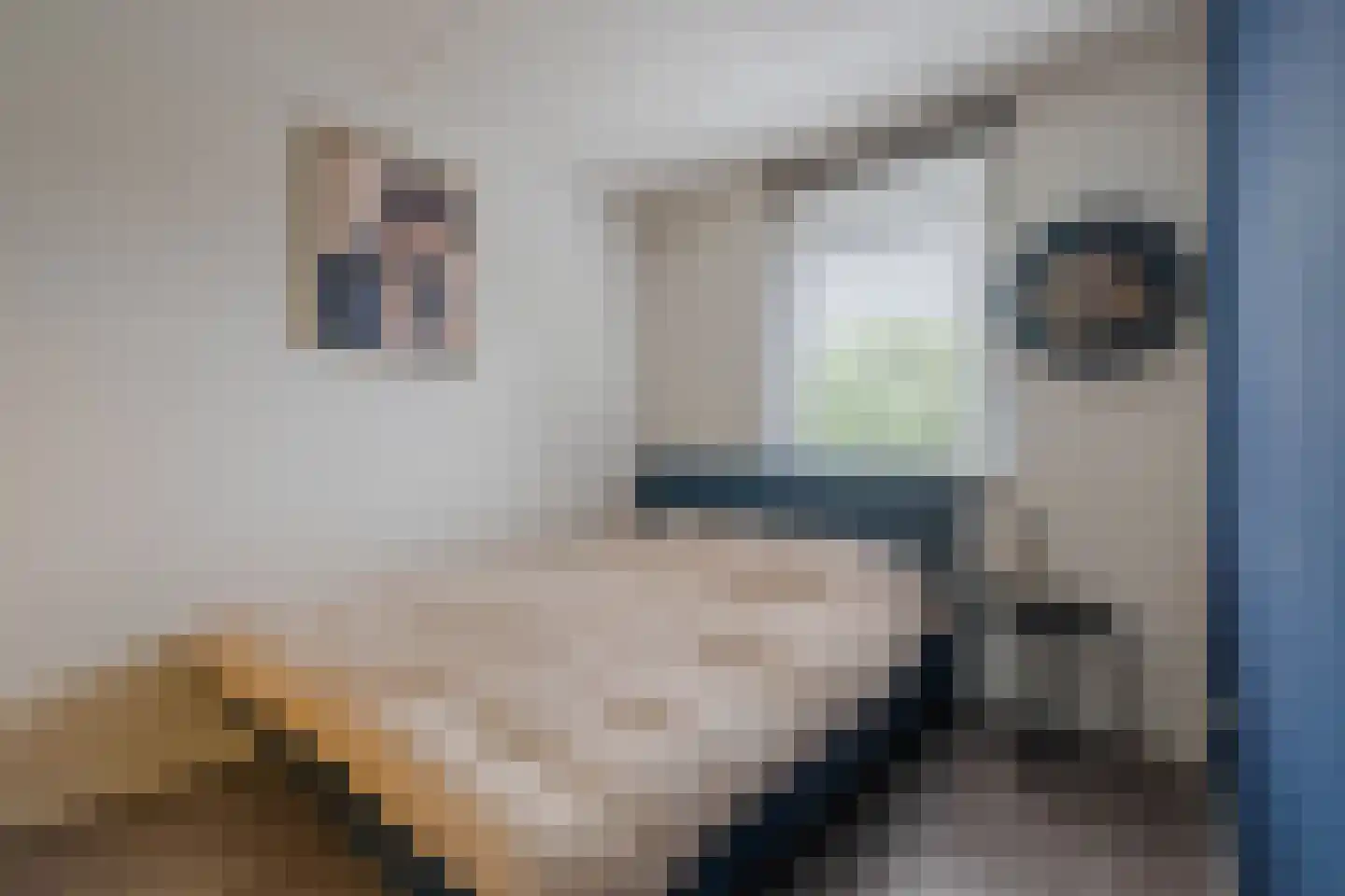 Meteriks veld 62 Meterik thumbnail 16