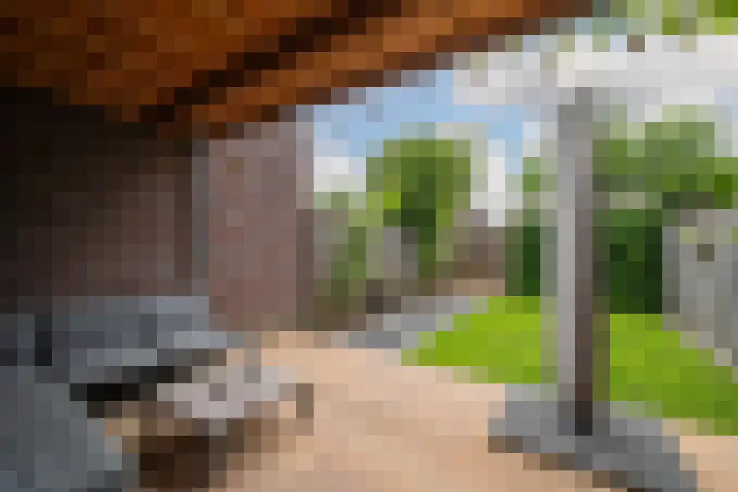 Meteriks veld 62 Meterik thumbnail 22