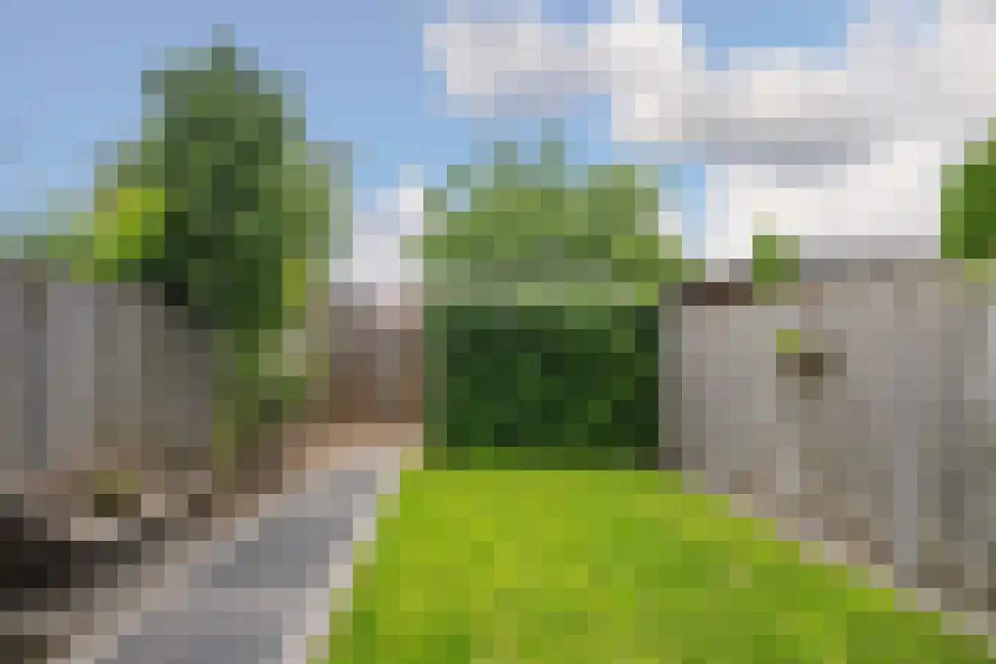 Meteriks veld 62 Meterik thumbnail 24