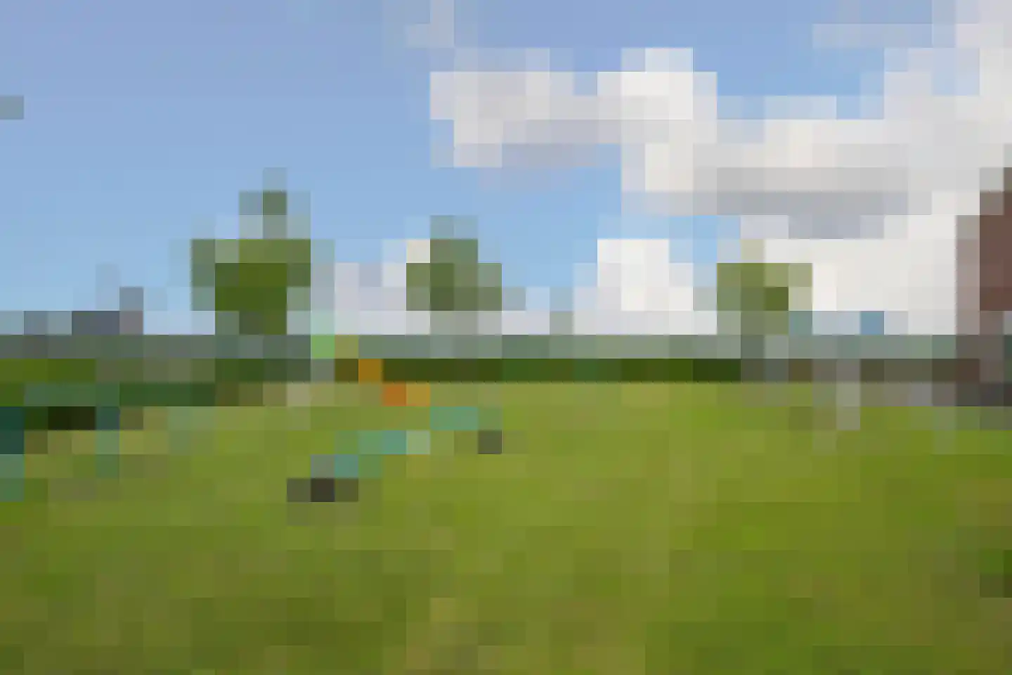 Meteriks veld 62 Meterik thumbnail 29