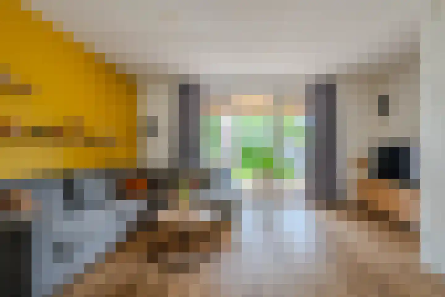 Meteriks veld 62 Meterik thumbnail 8