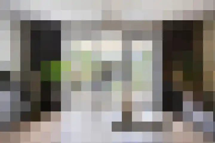 Meteriks veld 70 Meterik thumbnail 11