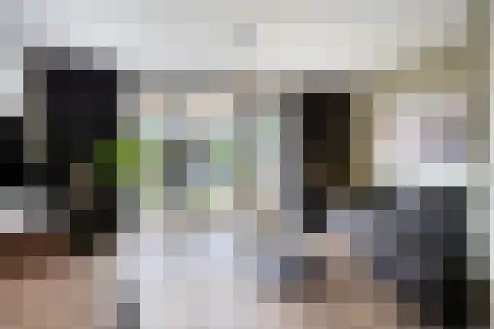 Meteriks veld 70 Meterik thumbnail 12