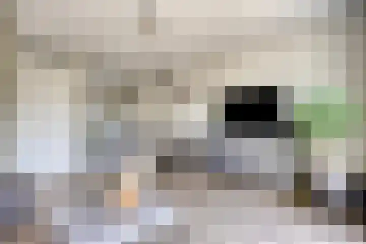 Meteriks veld 70 Meterik thumbnail 15