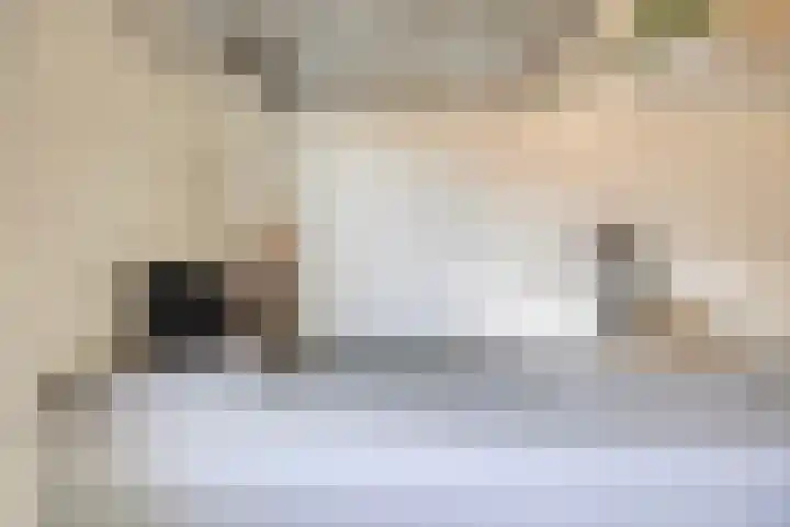 Meteriks veld 70 Meterik thumbnail 20
