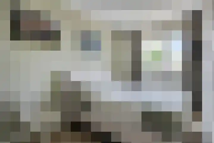 Meteriks veld 70 Meterik thumbnail 23