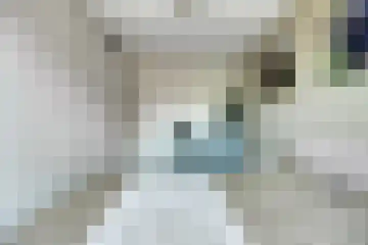 Meteriks veld 70 Meterik thumbnail 24